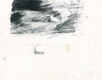 The Carry Study and Albinos Study