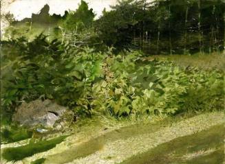 Eagle Eye Study