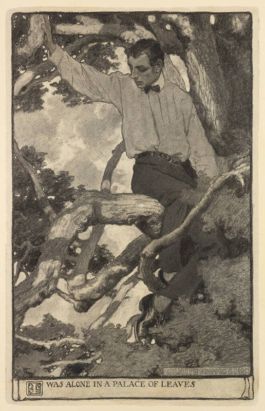 I was alone in a palace of leaves