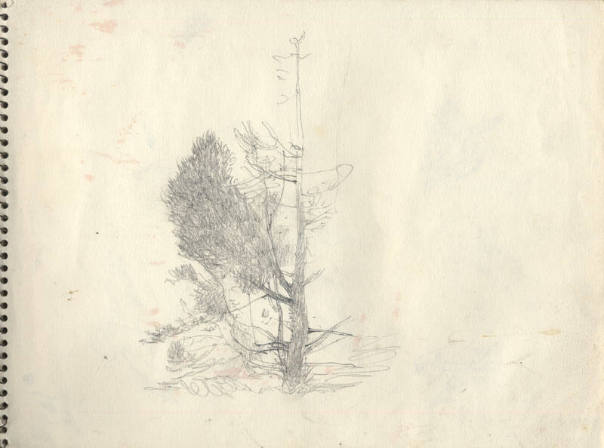 Eagle Eye Study