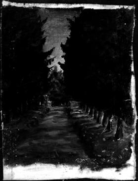 Untitled (a tree-lined road)