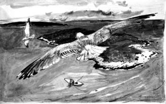 Gull Over Bar Island