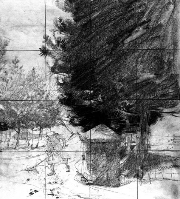 Pines In The Snow Study