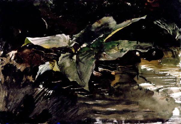 Skunk Cabbage - sixth version