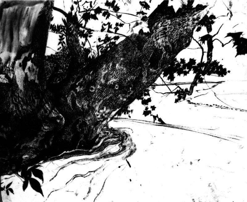 Summer Freshet Study