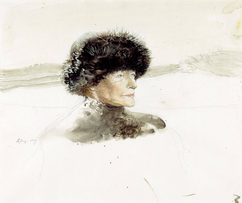 Tundra Study