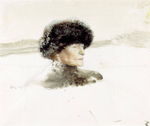 Tundra Study