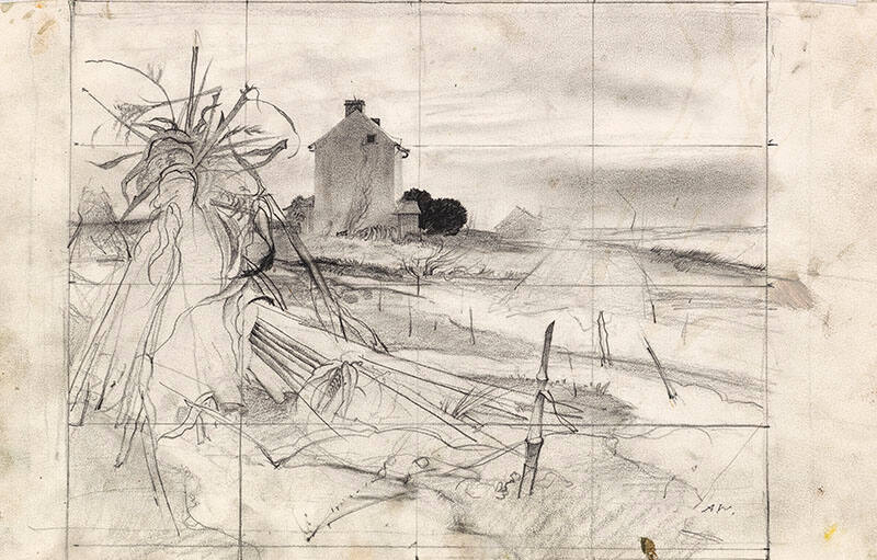 Winter Corn Fields Study