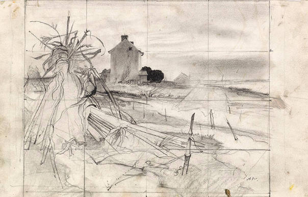 Winter Corn Fields Study