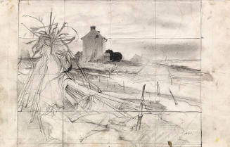 Winter Corn Fields Study