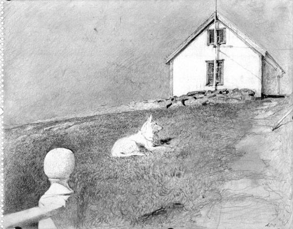 Whitehead Station Study