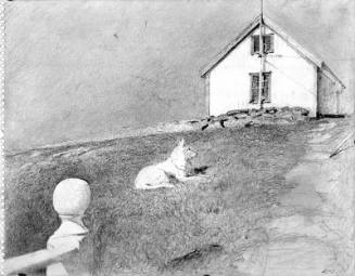 Whitehead Station Study