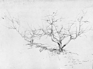 Fields Of Broad Cove Study