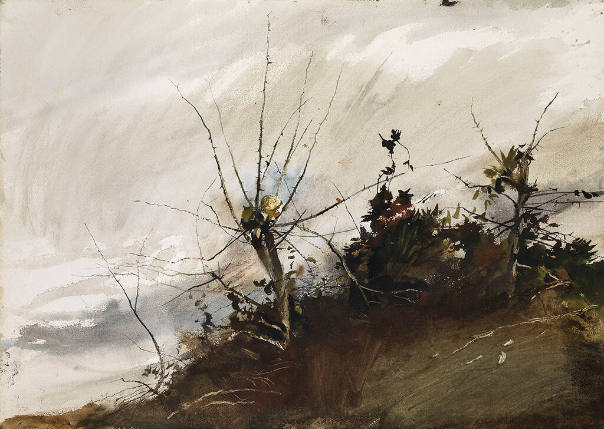 Osage Hedge, Study for Roasted Chestnuts