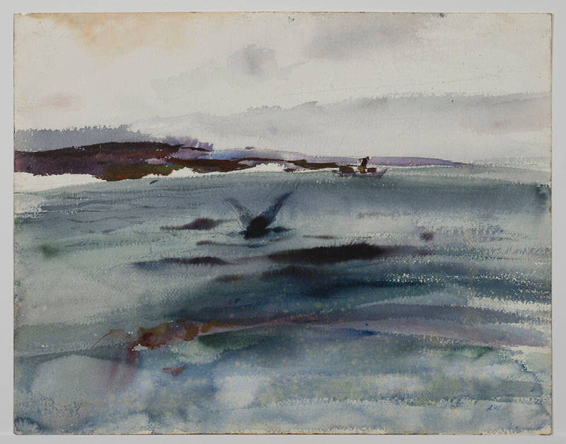 Northern Coast Study