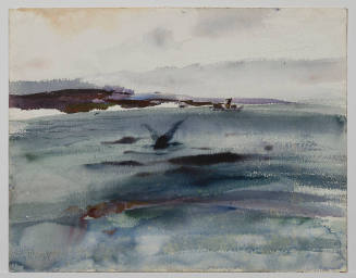Northern Coast Study