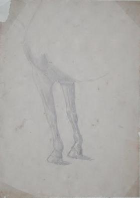 Untitled (front legs of a horse)