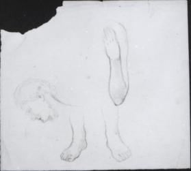 studies of feet, an arm, and a head