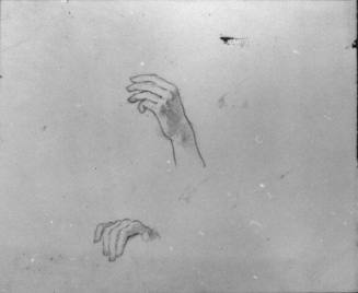 hand studies