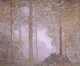 title unknown (woodland scene)