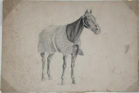 Untitled (horse portrait; verso, hand study)