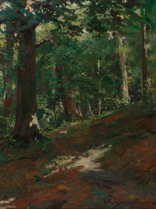 Woods at Lafayette's Headquarters