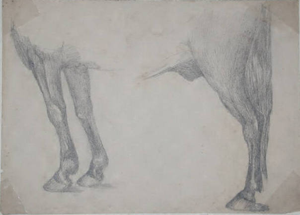 Untitled (four legs and torso of a horse)