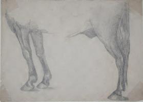 Untitled (four legs and torso of a horse)