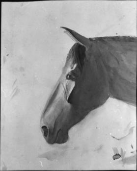 Untitled (head of a horse)