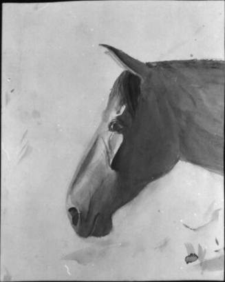 Untitled (head of a horse)