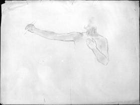 Untitled (arm and hand study)