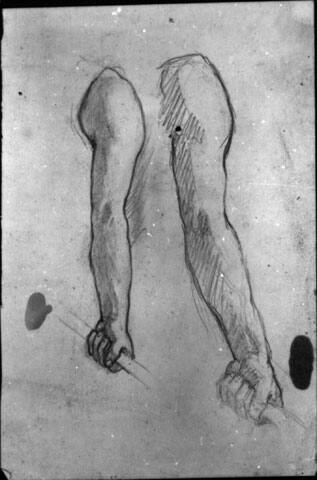 Untitled (studies of arms and hands)