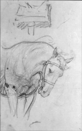 Untitled (study of a horse)