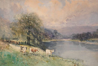 Untitled (Cows by a lake)