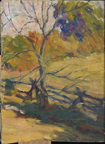 untitled (view of a fence and tree)