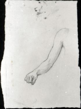 study of an arm