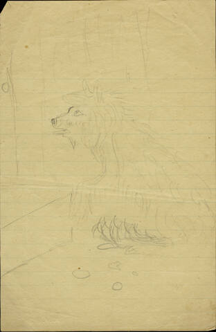 Untitled (Begging dog)