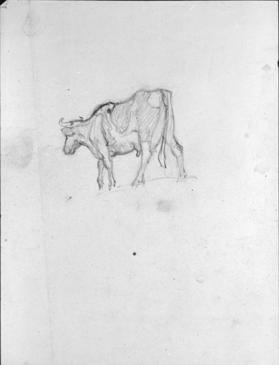 Untitled (study of a cow; verso, study of a full length male figure)