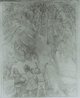 The Apple Tree, composition drawing