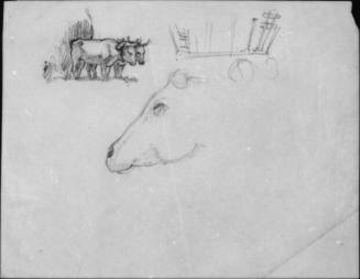 Untitled (studies of oxen for Men of Concord)