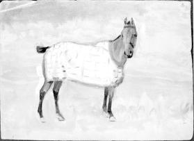 Untitled (horse portrait; verso, artist at an outdoor easel)